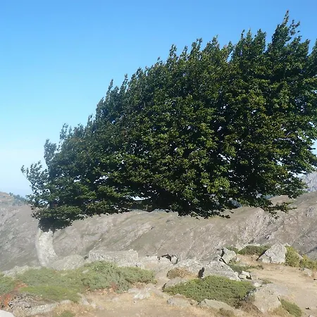 Nyaraló Terrasse De Malbeccu Casamaccioli